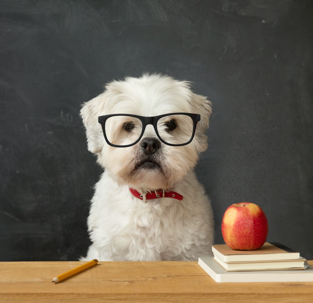 Editorial: January 21, 2021